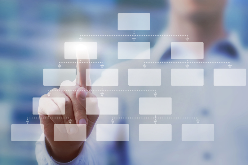 C-Suite Executive Relationships